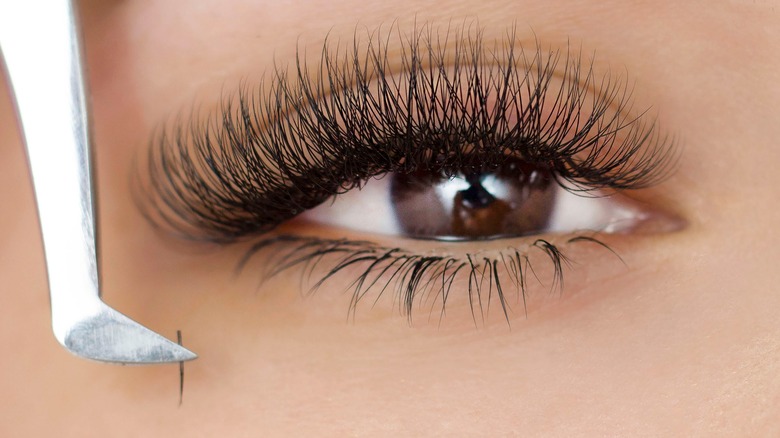 closeup of eye with tweezers