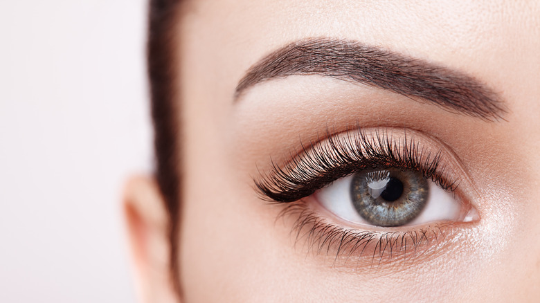 closeup of eye with eyelashes 