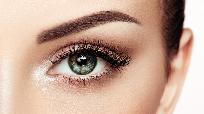 closeup of eye with eyelashes