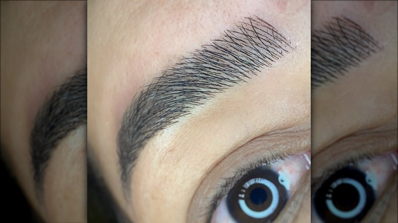 closeup of nanobrows