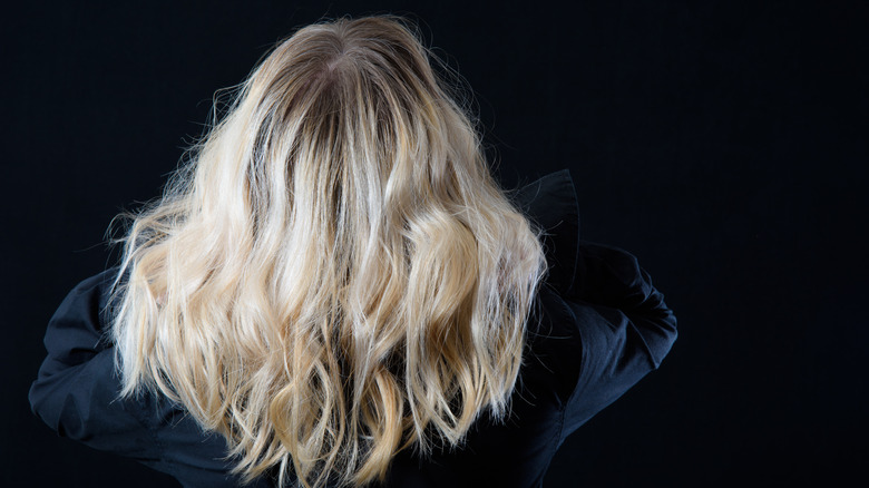 back view of blond hair
