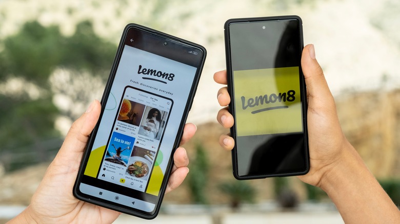 Lemon8 app content