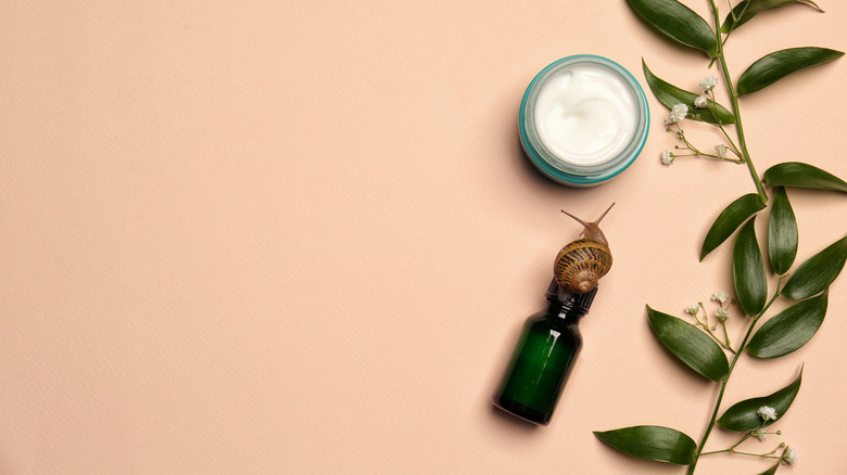 snail climbing over body next to cream and greenery