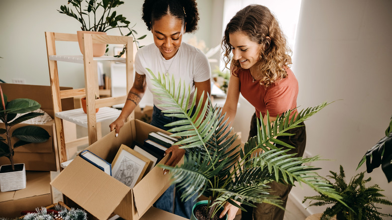 Unpacking boxes in home