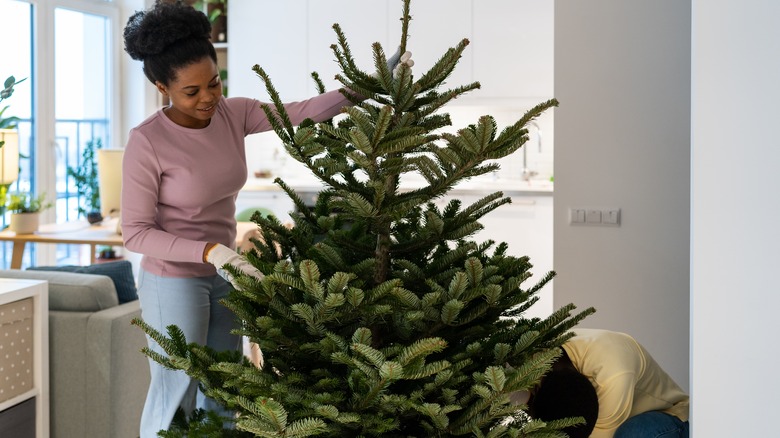 People setting up Christmas tree