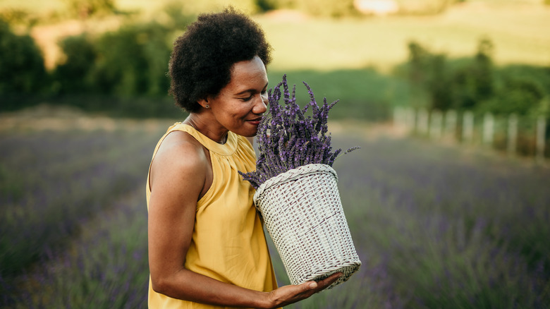 Woman sniffing lavender plant