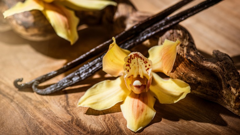 closeup of a vanilla bean flower