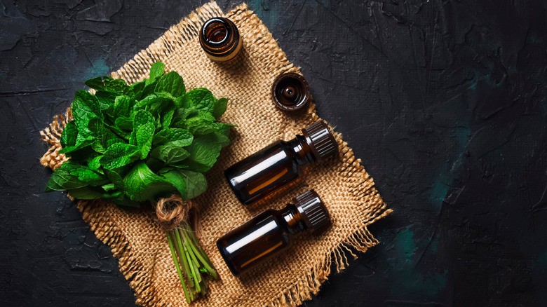 peppermint essential oil