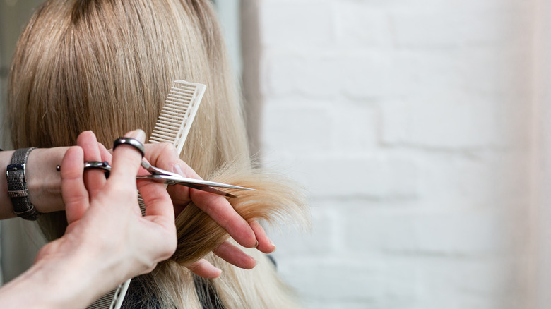 stylist trimming hair 