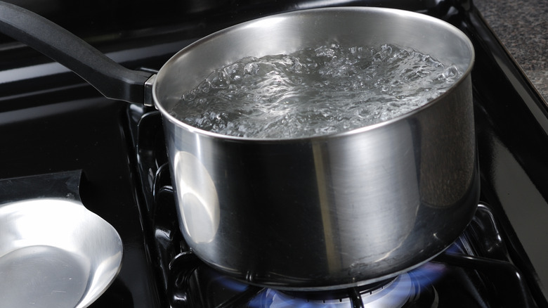 Pot of boiling water on stove
