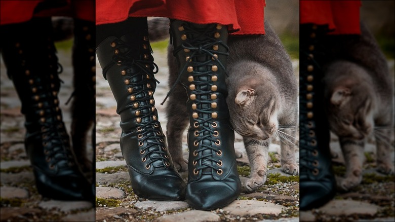witchy boots and cat