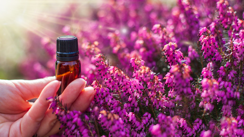 Person holding bottle of flower essences against flora