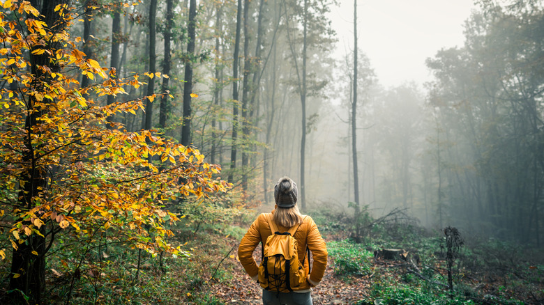 Woman standing on nature trail in forest