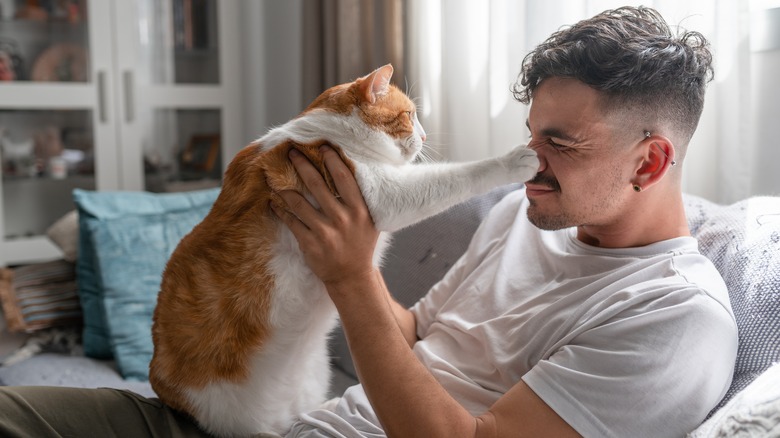 Man cuddling with cat as it boops his nose