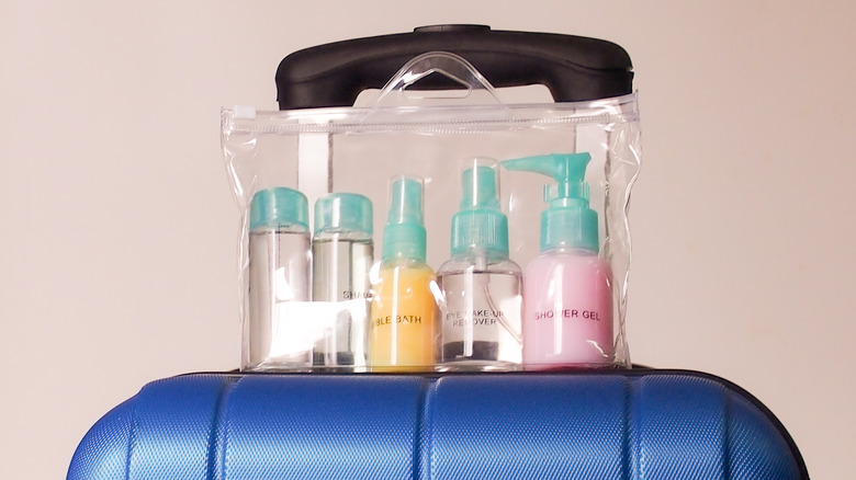 Clear toiletries bag