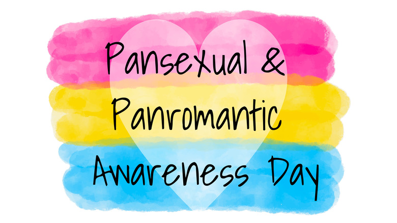 panromantic or pansexual