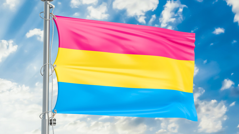 Pansexual pride flag