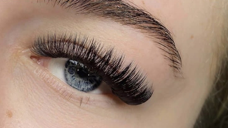 eye with lash extensions
