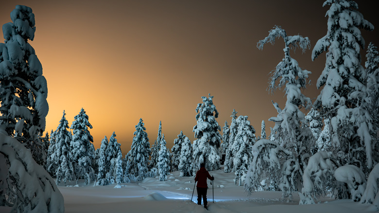 Woman cross country skiing