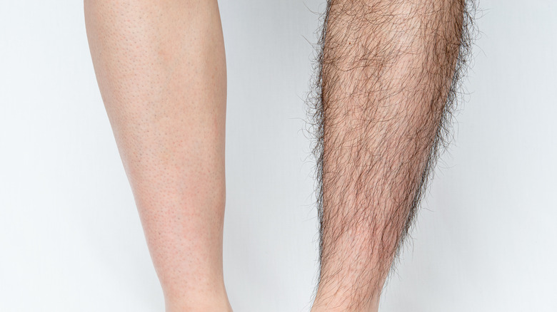 hairless leg and hairy leg