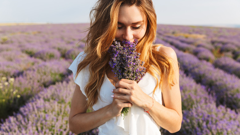 Woman in field of lavender smelling bouquet 